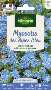 Myosotis des Alpes Bleu
